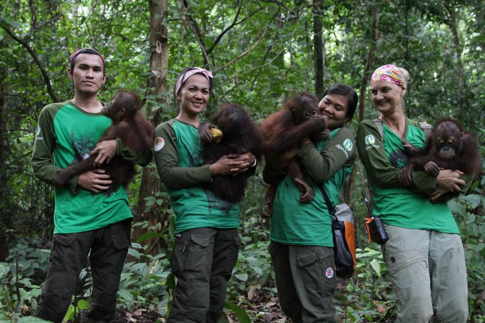 A group of four homosapiens each holding a monkey
