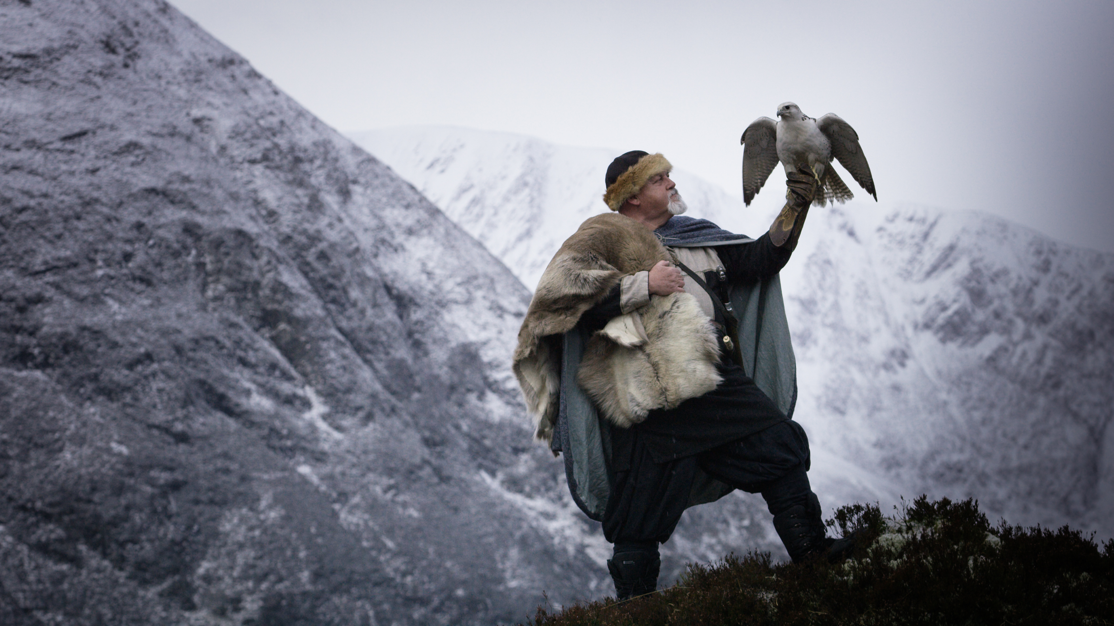 Viking holding a falcon