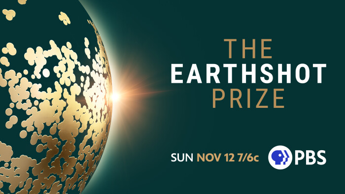 Earthshot Prize 2023 key art green background, golden earth image