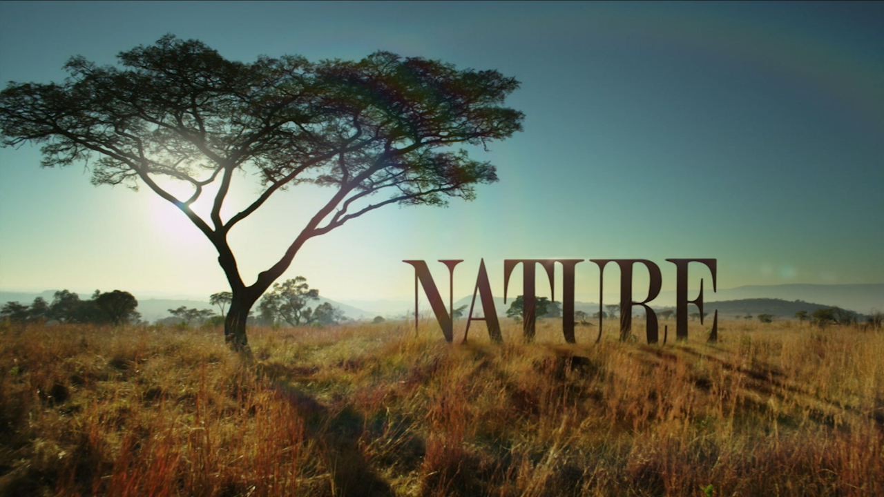 the word nature in a field with a tree image