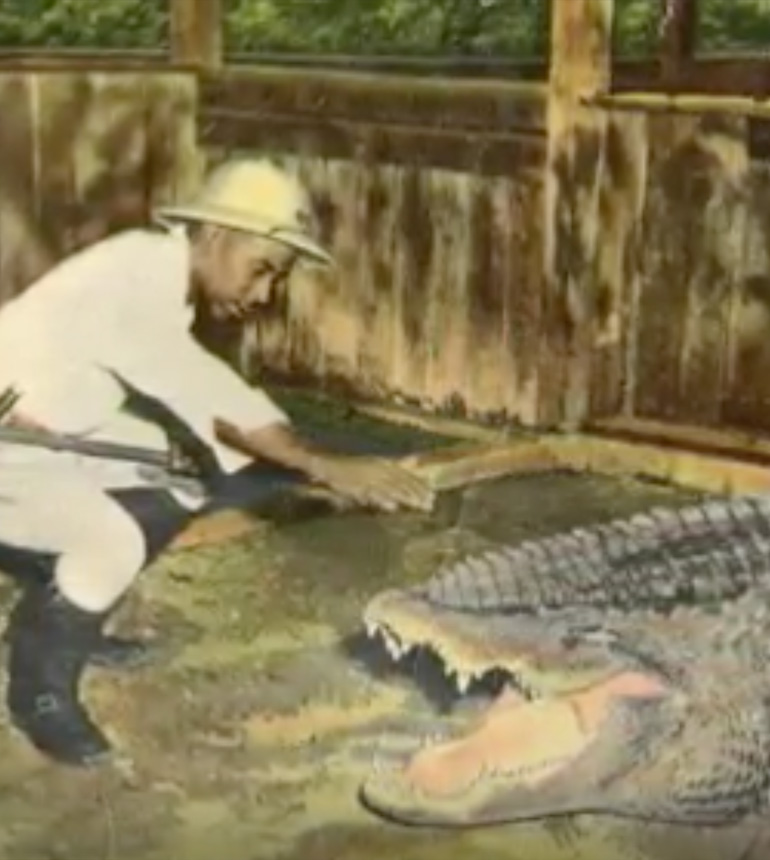 A man petting a crocodile