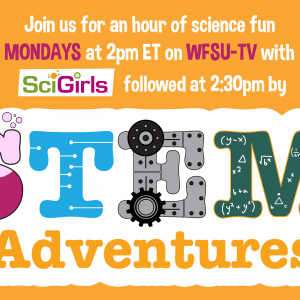 Stem Adventures