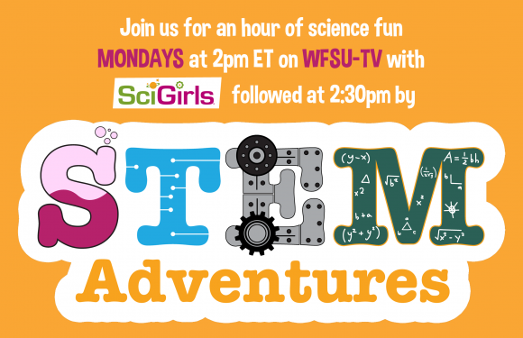 Stem Adventures Stem Adventures