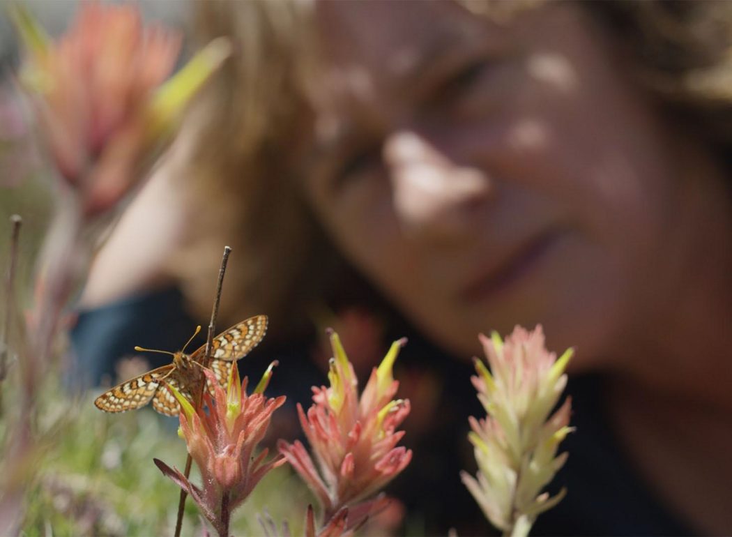 A butterfly is on colorful flowers in focus while a woman is out of focus in the background.