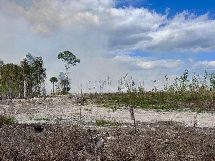 Alt text currently missing