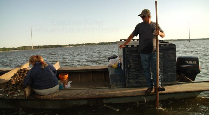 The Apalachicola Oyster in 2016 | A Long Road to Recovery People on boats