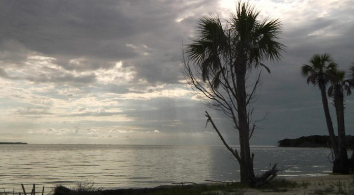 Saint Vincent Island | Florida’s Wildest Barrier Island The ocean looking stunning at sunset or sunrise