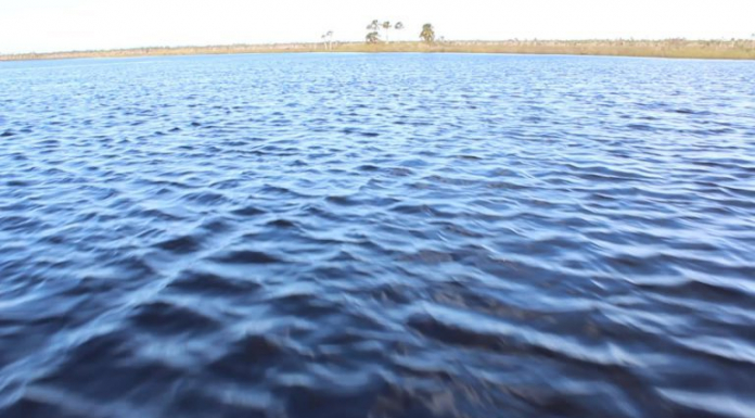 The Complicated History of the Fenholloway River Water