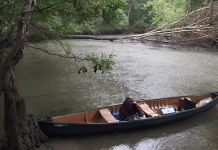 Upper Chipola River Kayak / Canoe Adventure Canoes and stuff