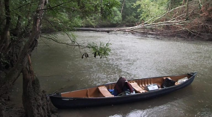 Upper Chipola River Kayak / Canoe Adventure Canoes and stuff