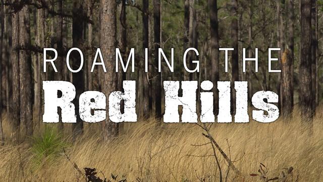 Roaming the Red Hills | The Complete Adventure