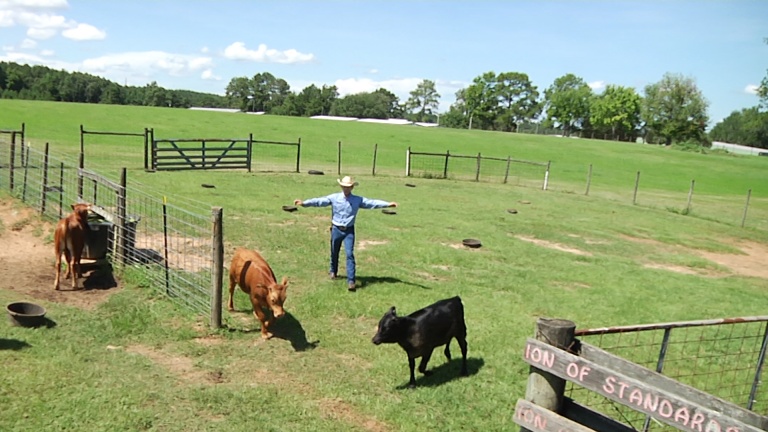 Before There Was Cowboy, Florida Had Cracker!