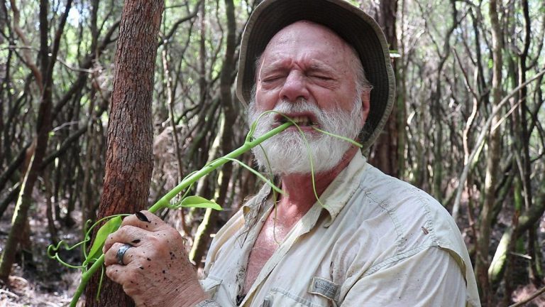 Remote Footprints Goes Eeep Into the Bradwell Bay Wilderness