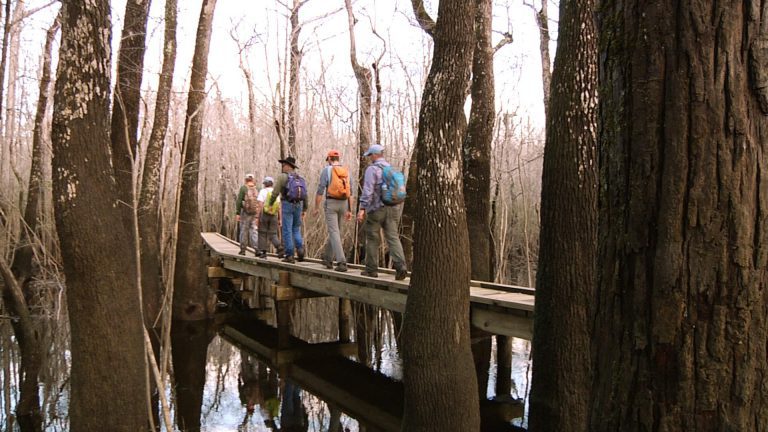 Choctawhatchee River Hiking on the Florida Trail Hiking trail along river in Florida