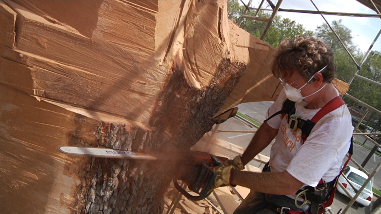 Dying Library Tree Captures Leon County’s Imagination