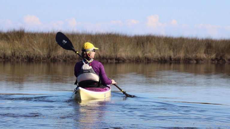 Kayaking Bald Point | Adventure on a Living Coastline Kayaker paddles through marshy water in Florida