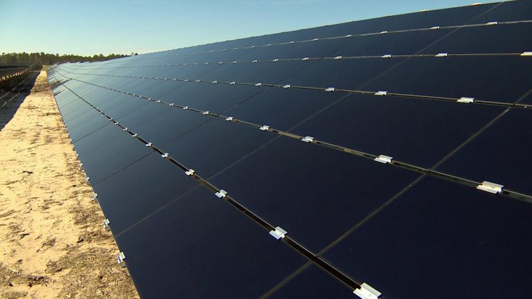 Let The Sun Shine Solar panels