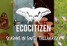 EcoCitizen Show | Seasons in South Tallahassee Ecocitizen logo