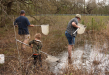 Adopt an Ephemeral Wetland: Family Friendly Citizen Science Family walks through Florida wetlands with nets in hand