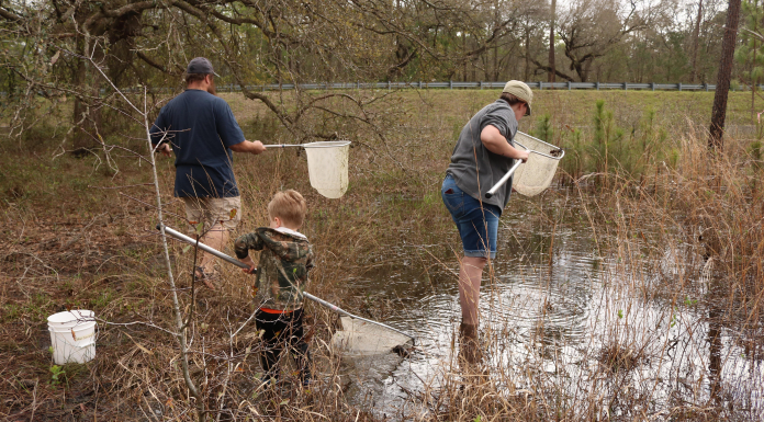 Adopt an Ephemeral Wetland: Family Friendly Citizen Science Family walks through Florida wetlands with nets in hand