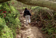 FAMU BioBlitz: Invasives and Nature in Unexpected Places FAMU biologists and students use the iNaturalist app to navigate through wilderness