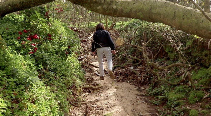 FAMU BioBlitz: Invasives and Nature in Unexpected Places FAMU biologists and students use the iNaturalist app to navigate through wilderness
