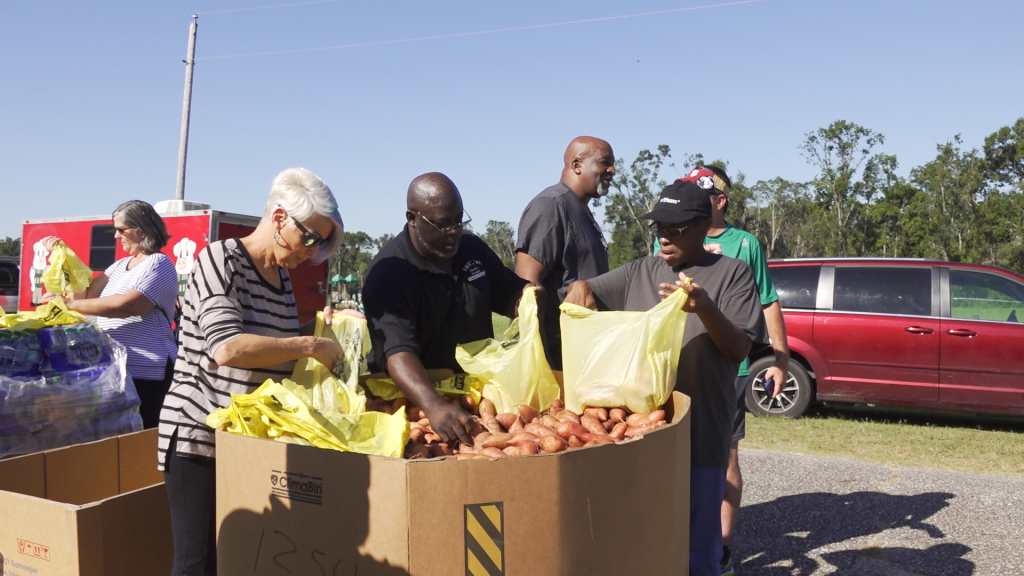 People stand near a giant crate full of sweet potatoes and dig their hands into it.