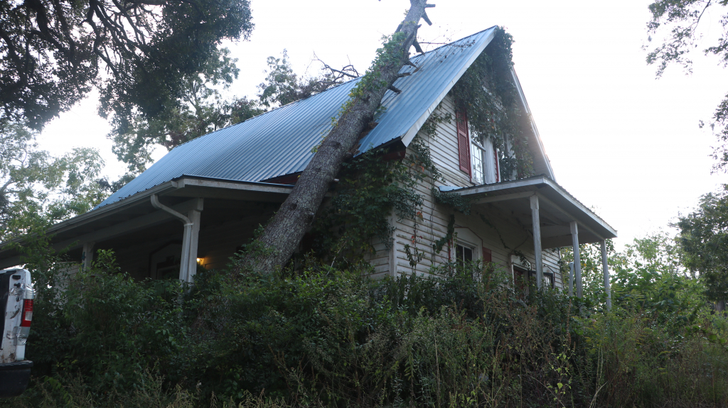 A tree rests on the roof of a home.