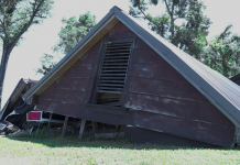The Forgotten County: How Michael Remains In Greenwood A house with trees in the back yard