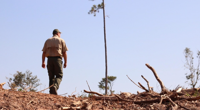 Torreya State Park After Hurricane Michael | One Year Later A man standing next to a tree