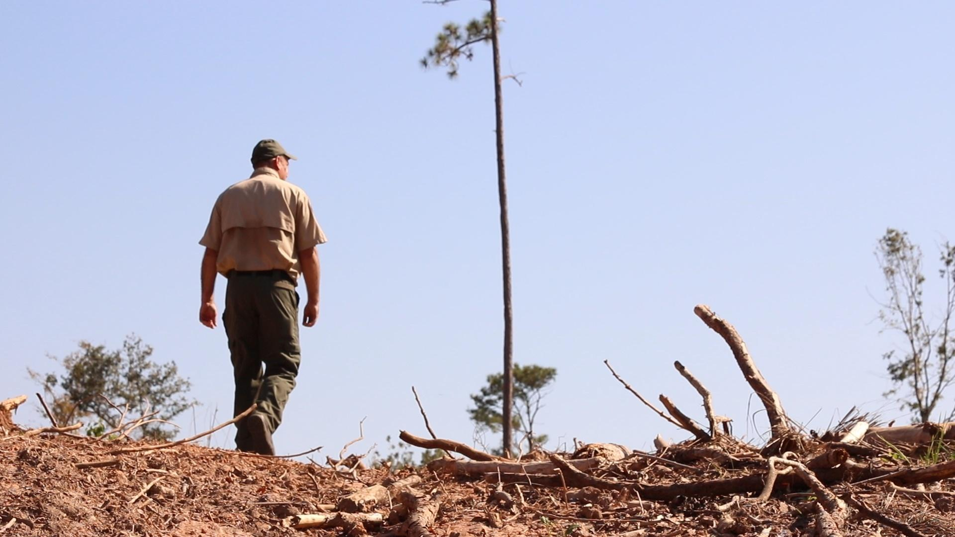Torreya State Park After Hurricane Michael | One Year Later | WFSU ...