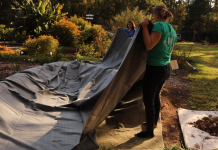 Creating a Wildlife Pond in Your North Florida Yard A man sitting in a park