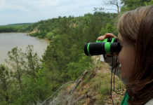 Garden of Eden Trail | Family Hike to the Apalachicola River A woman in a green shirt