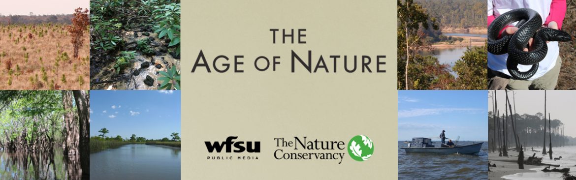 The Age Of Nature logo