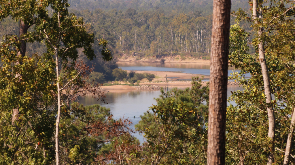 Bluff overlooking apalachicola River.