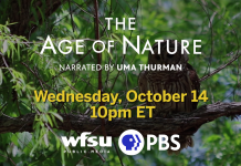 Preview PBS Age of Nature – Episode 1 A sign hanging from a tree