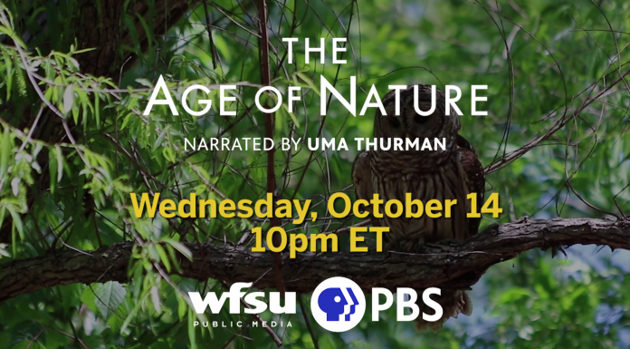 Preview PBS Age of Nature – Episode 1 A sign hanging from a tree