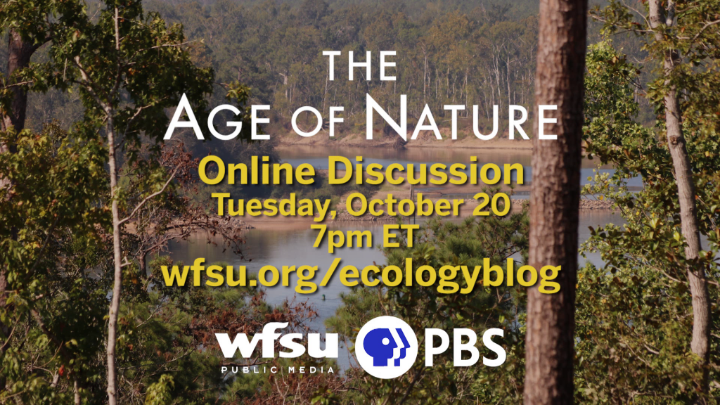 Photo of the Apalachicola River from the bluffs above it. Covered by graphic saying The Age of Nature online discussion takes place on October 20th at 7pm ET.  Website to learn more is wfsu.org/ecologyblog.