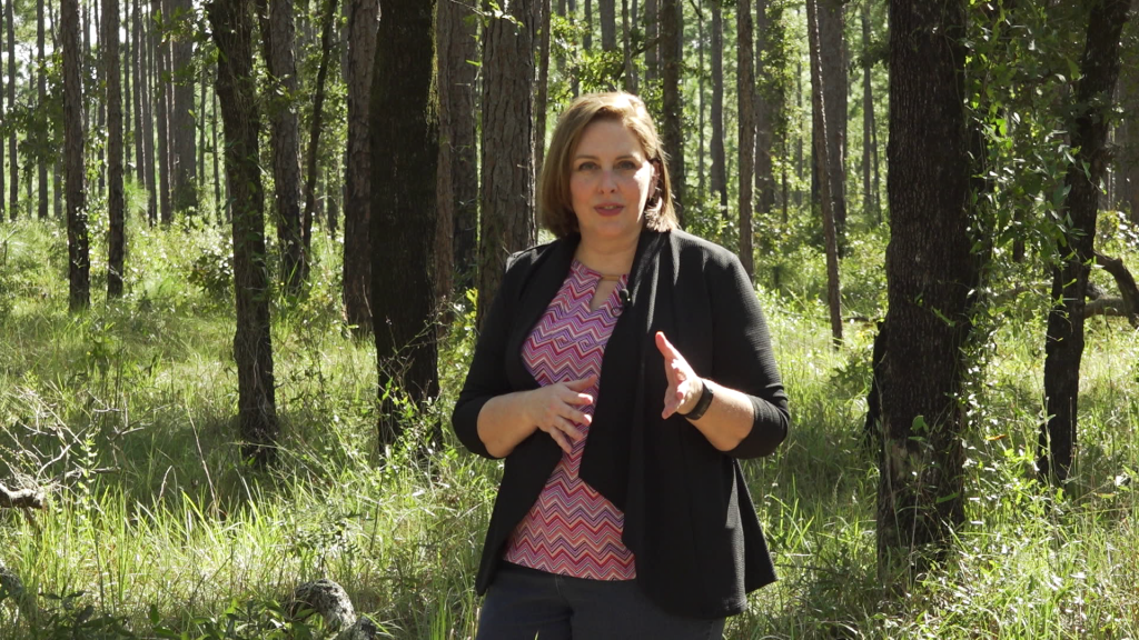 A woman standing in  forest surrounded by brush and trees.