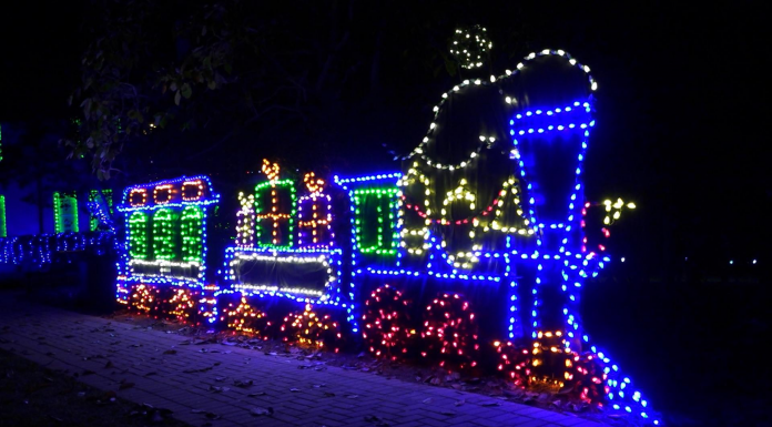 Dorothy Oven Park Holiday Lights 2020 A traffic light is lit up at night