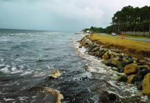 Fighting Coastal Erosion with Nature A body of water next to the ocean