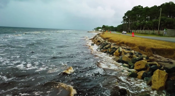 Fighting Coastal Erosion with Nature A body of water next to the ocean