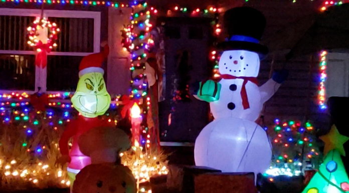 Tallahassee Neighborhood Lights A christmas tree lit up at night