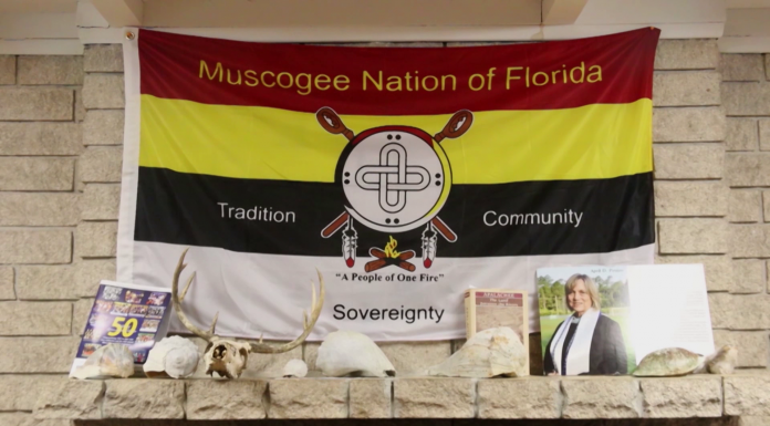 Molly of Denali Virtual Museum Diagram