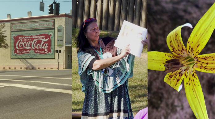 Local Routes: Unique Mural, Museum & Flower (Episode 604) A person holding a sign