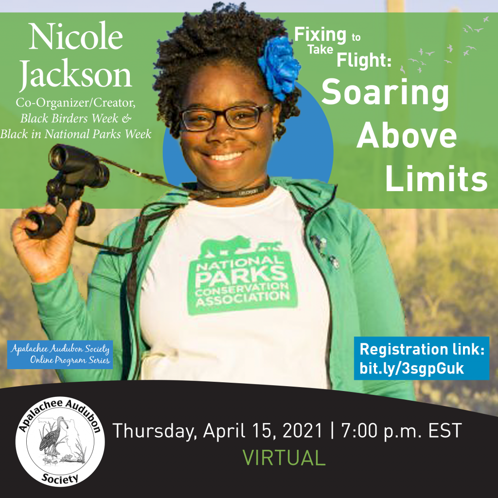 Fixing to Take Flight: Soaring Above Limits with Nicole Jackson - Vimarsana News