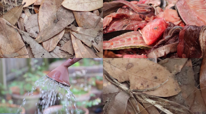 A Recipe For Tallahassee’s Perfect Compost | Building Soil in the Red Hills and Sandhills A piece of meat on a rock