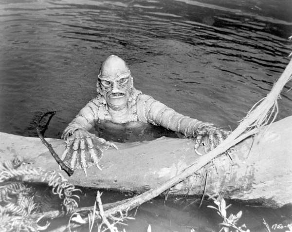 A man standing next to a body of water