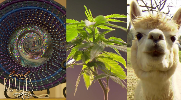 Local Routes: Creative Journeys for Unique Local Businesses