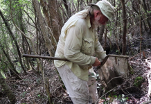 Bradwell Bay: a Last Refuge of the Southern Dusky Salamander A man standing next to a forest
